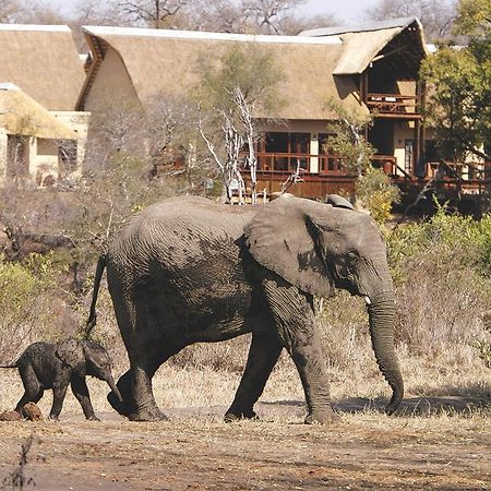 Elephant Plains Game Lodge Réserve de gibier de Sabi Sabi Extérieur photo