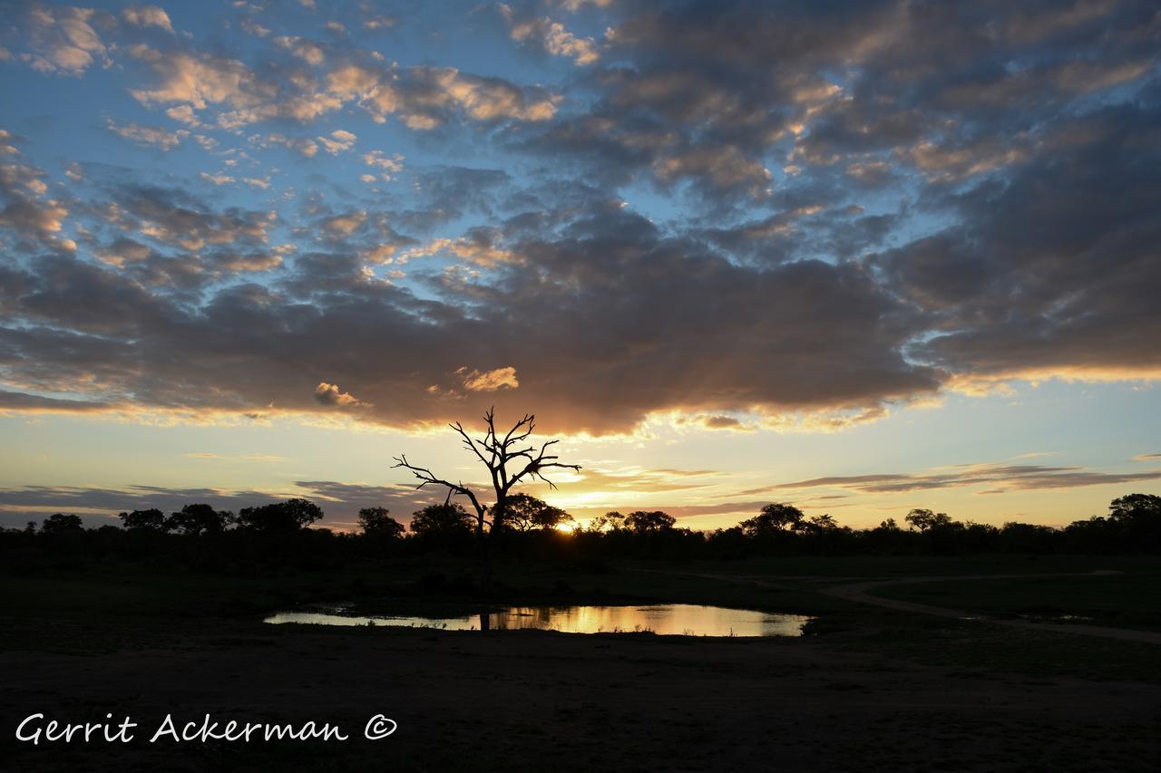 Elephant Plains Game Lodge Réserve de gibier de Sabi Sabi Extérieur photo